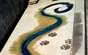 Pigmented River and Paw Prints